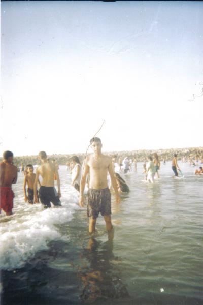 walid